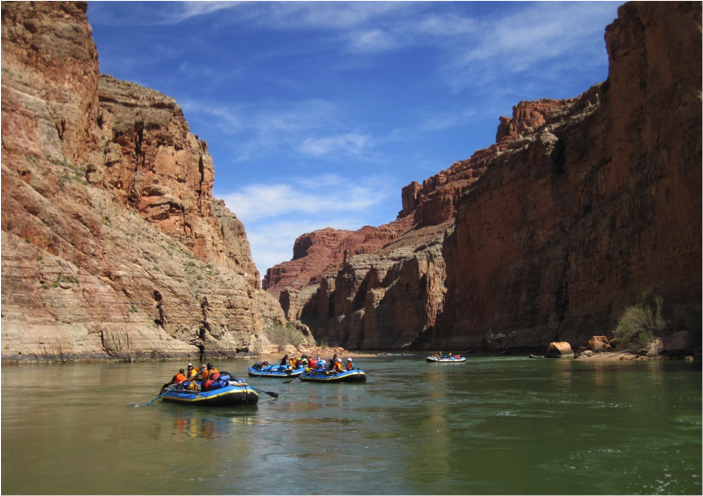 Typical view from a boat in the river